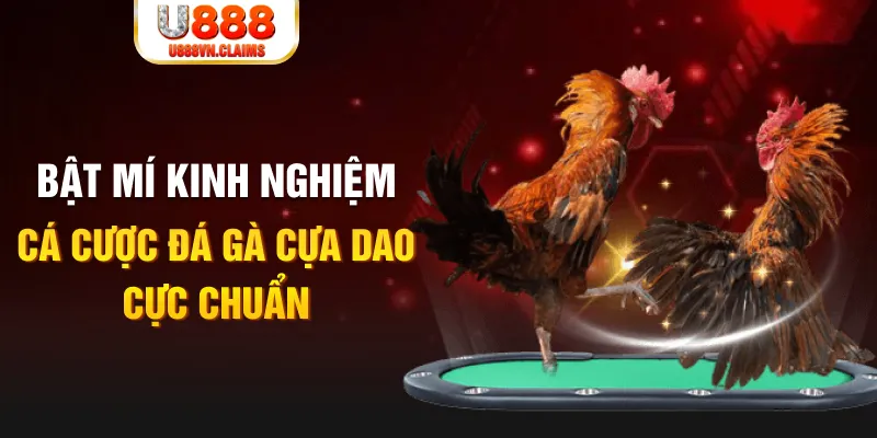 kuwin com trong baccarat, ai là người chia bài chính？