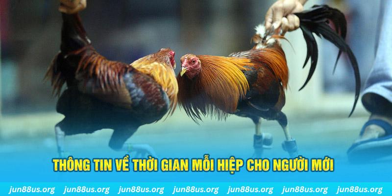 kuwin com Long Hổ 2