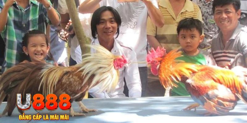 kuwin com mơ thấy nổ hũ đánh con gì