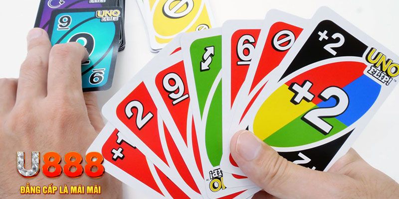 kuwin com gà chọi