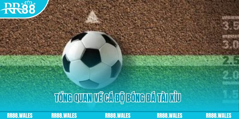 kuwin com JDB Điện Tử