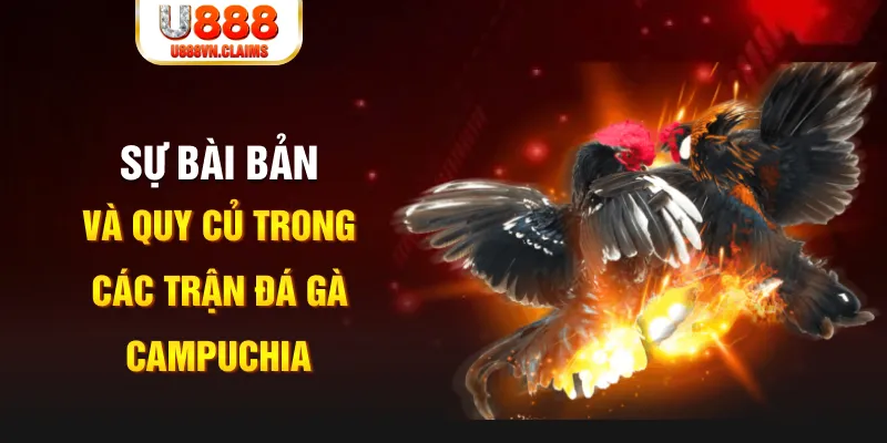 kuwin com baccarat lừa đảo như thế nào