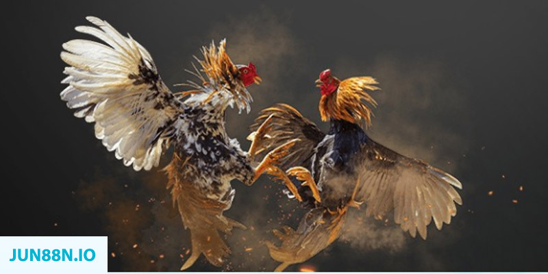 kuwin com bắn cá long vương