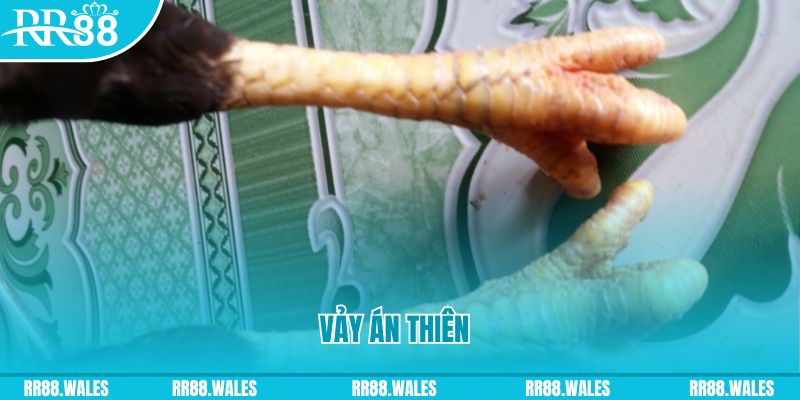 kuwin com who wants to be a millionaire slot