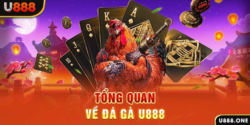 kuwin com baccarat có lừa đảo không