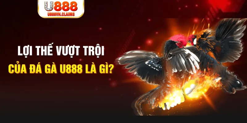 kuwin com 888 slot là gì
